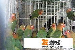 现在学校搞封闭式管理真的好吗？你怎么看