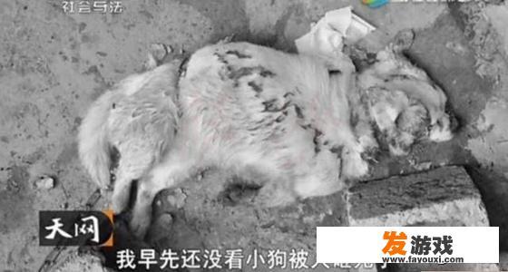 最让你震惊的一宗杀人案件是什么