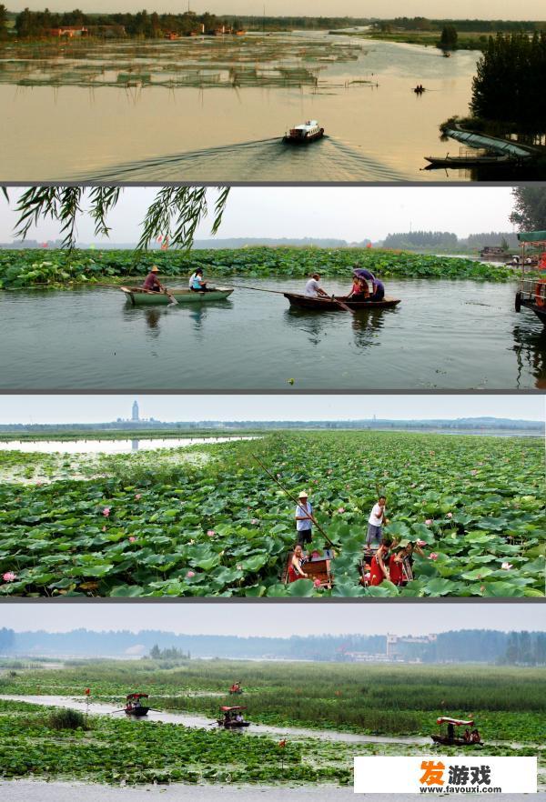 济宁的微山湖怎么样