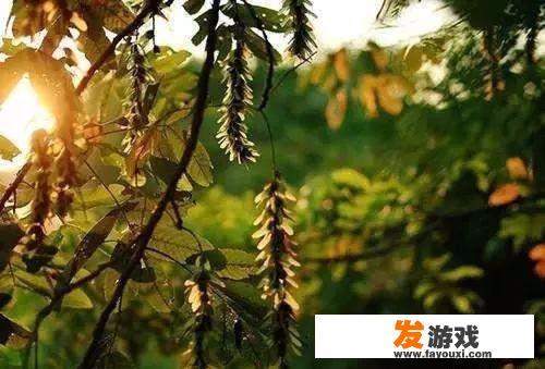 立秋之后''三不睡、三不做、三要吃''是指什么