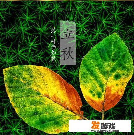 立秋之后''三不睡、三不做、三要吃''是指什么