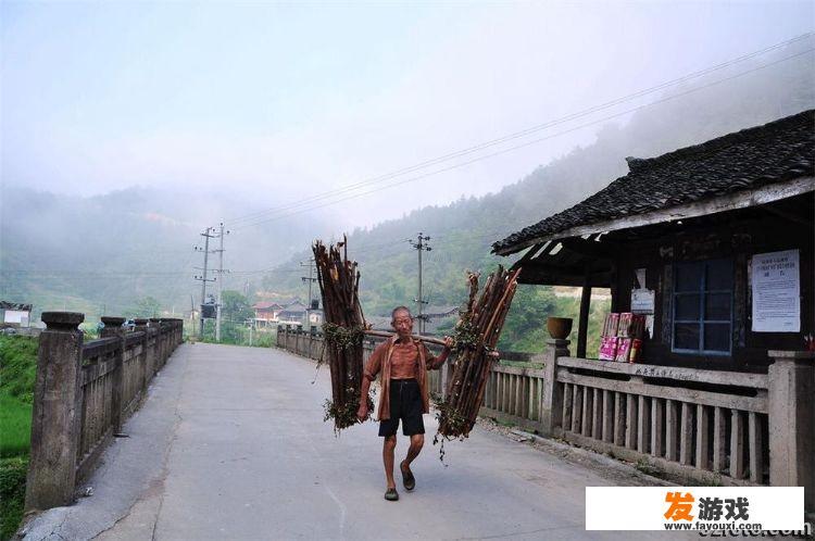 此木是柴山山出，下一句
