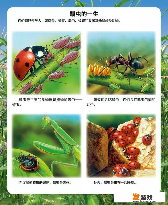 8岁男孩子过生日，送什么礼物给他合适