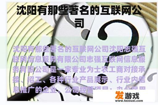 沈阳有那些著名的互联网公司