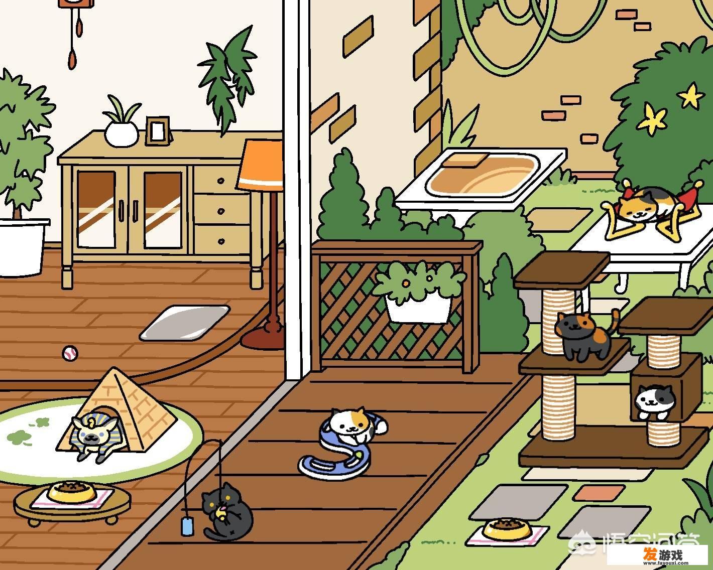 有哪些可以养猫的游戏值得推荐