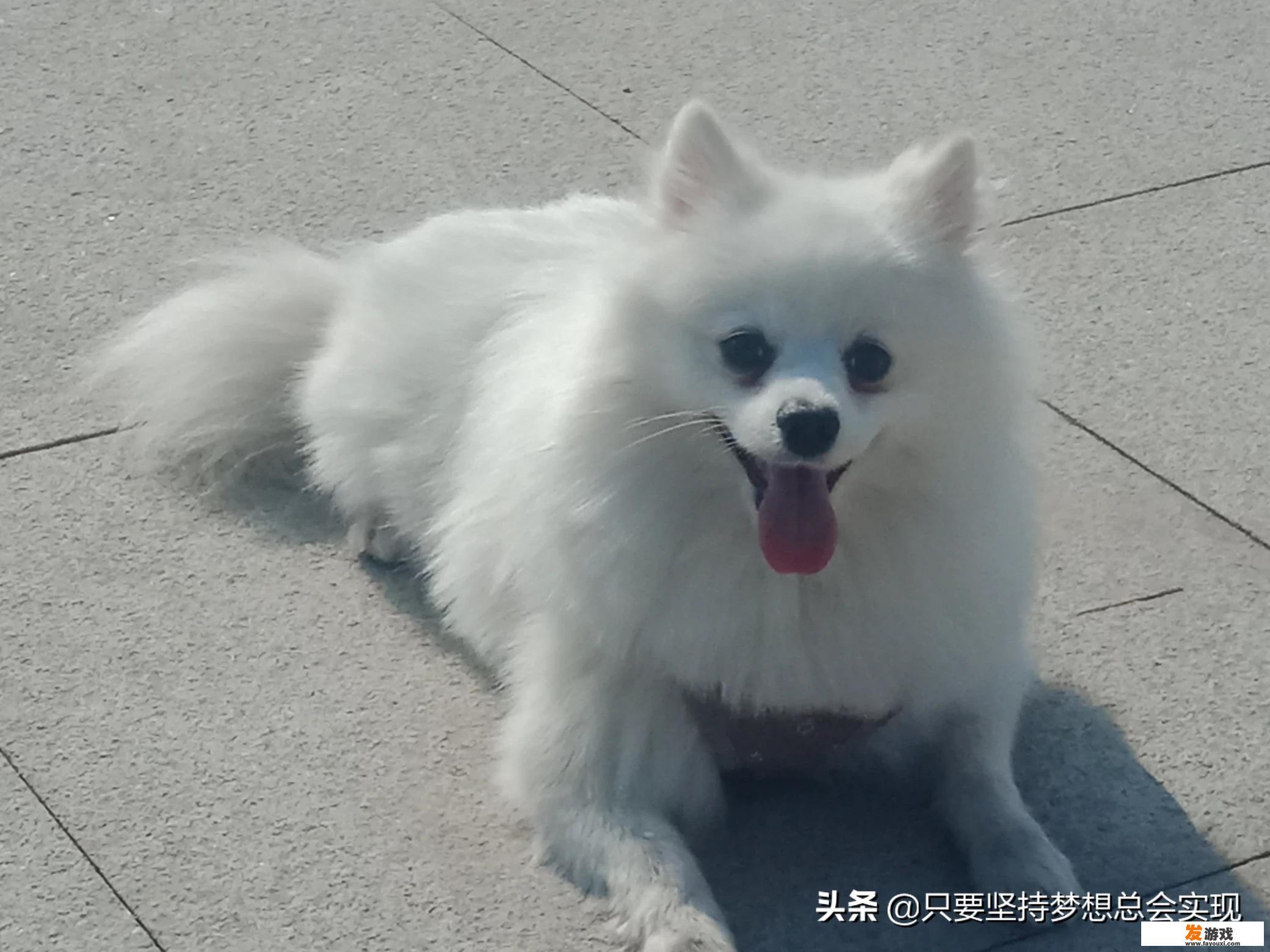 中年人适合什么手游