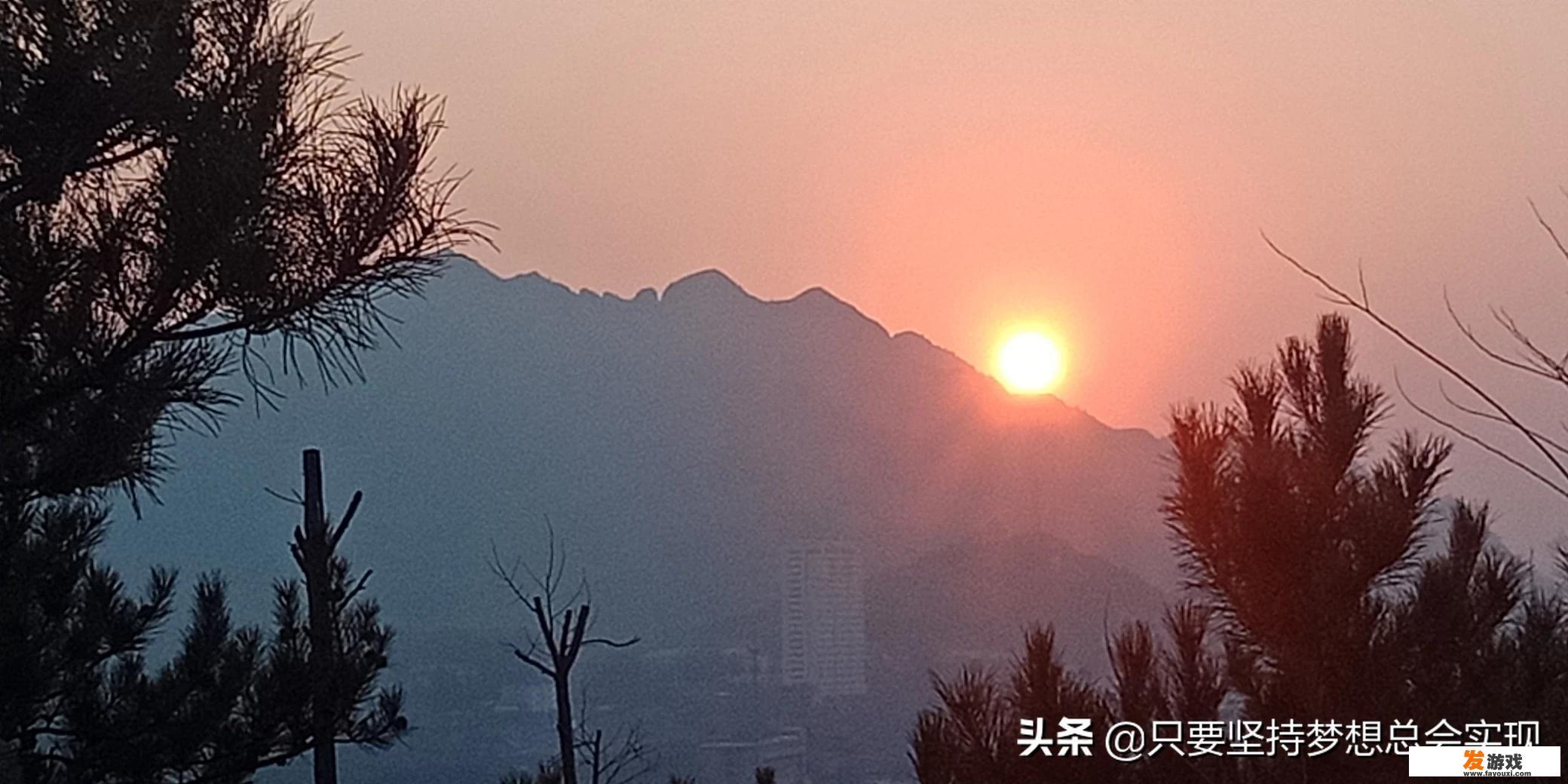中年人适合什么手游
