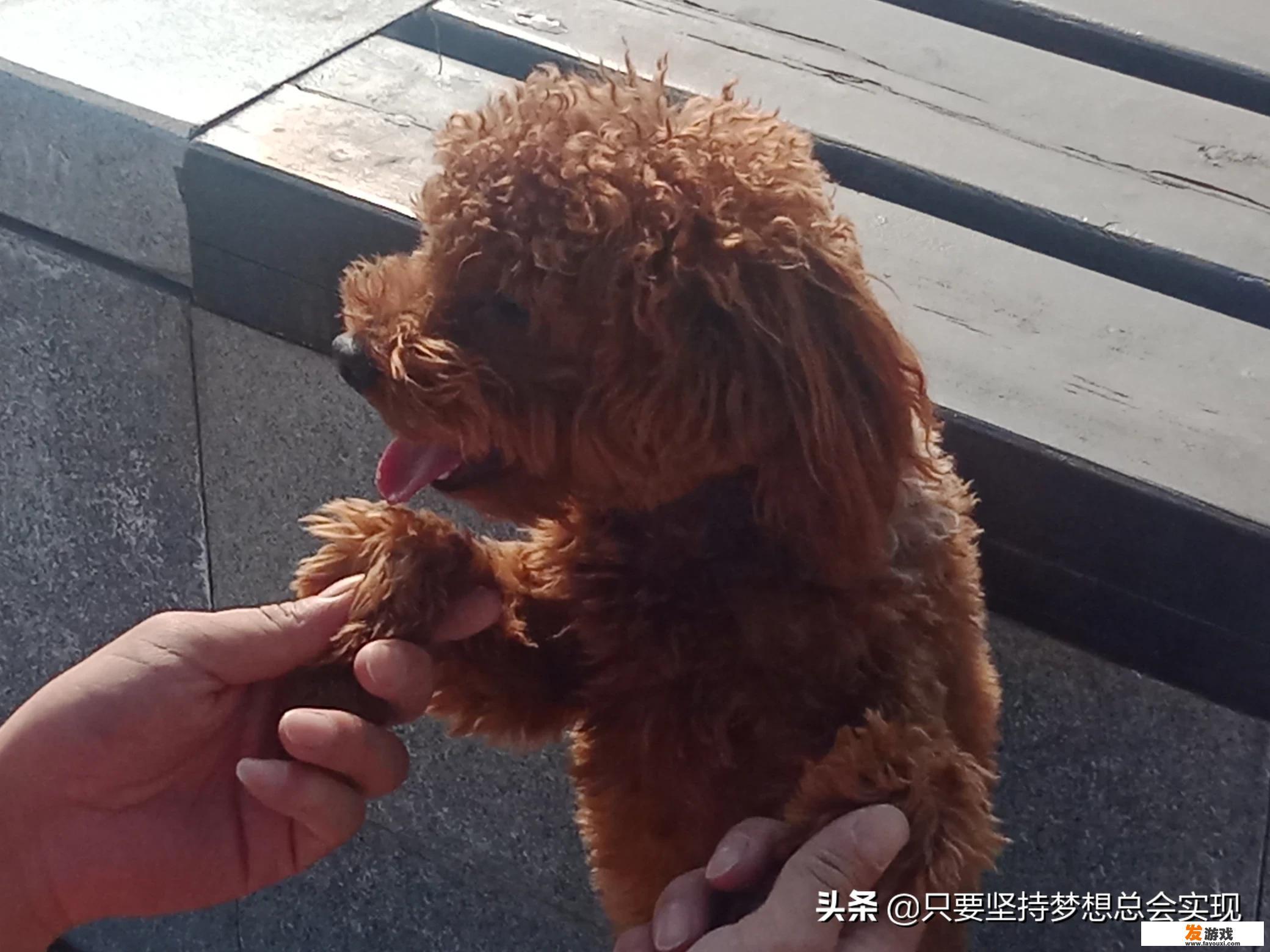 中年人适合什么手游