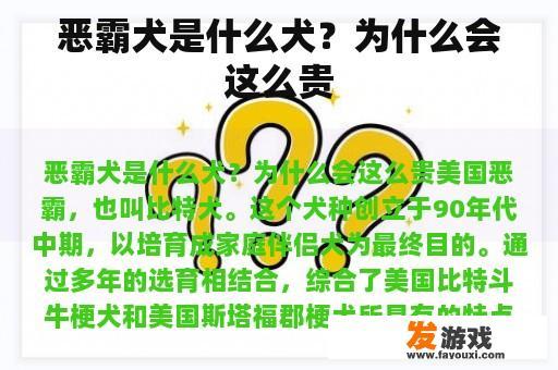 恶霸犬是什么犬？为什么会这么贵