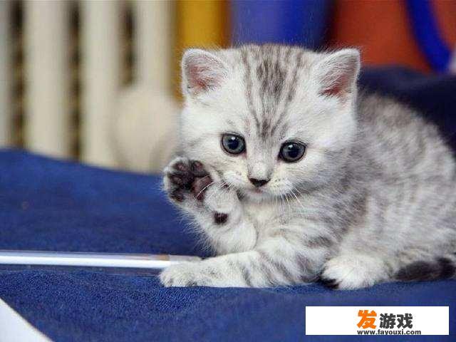 告别网络游戏，我们应该做什么
