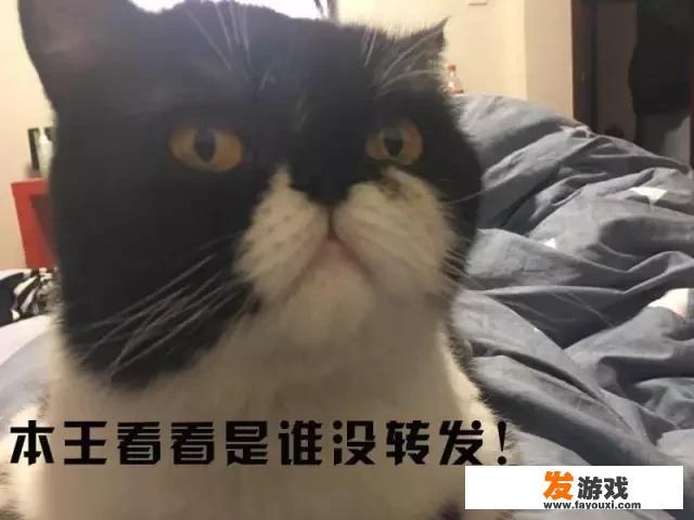 你听过最有趣的打油诗有哪些