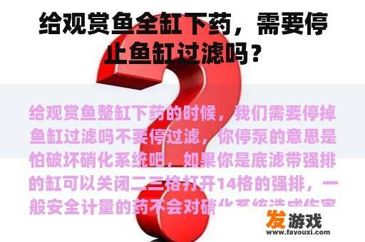 给观赏鱼全缸下药，需要停止鱼缸过滤吗？