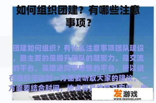 如何组织团建？有哪些注意事项？