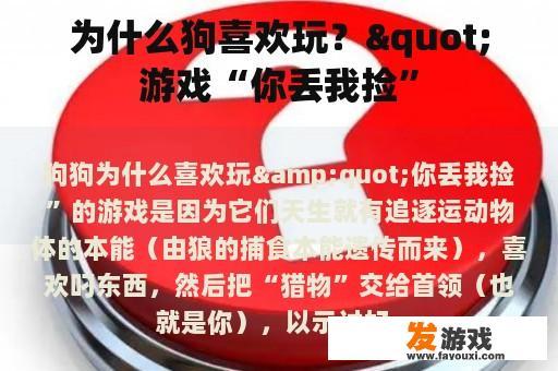 为什么狗喜欢玩？"游戏“你丢我捡”