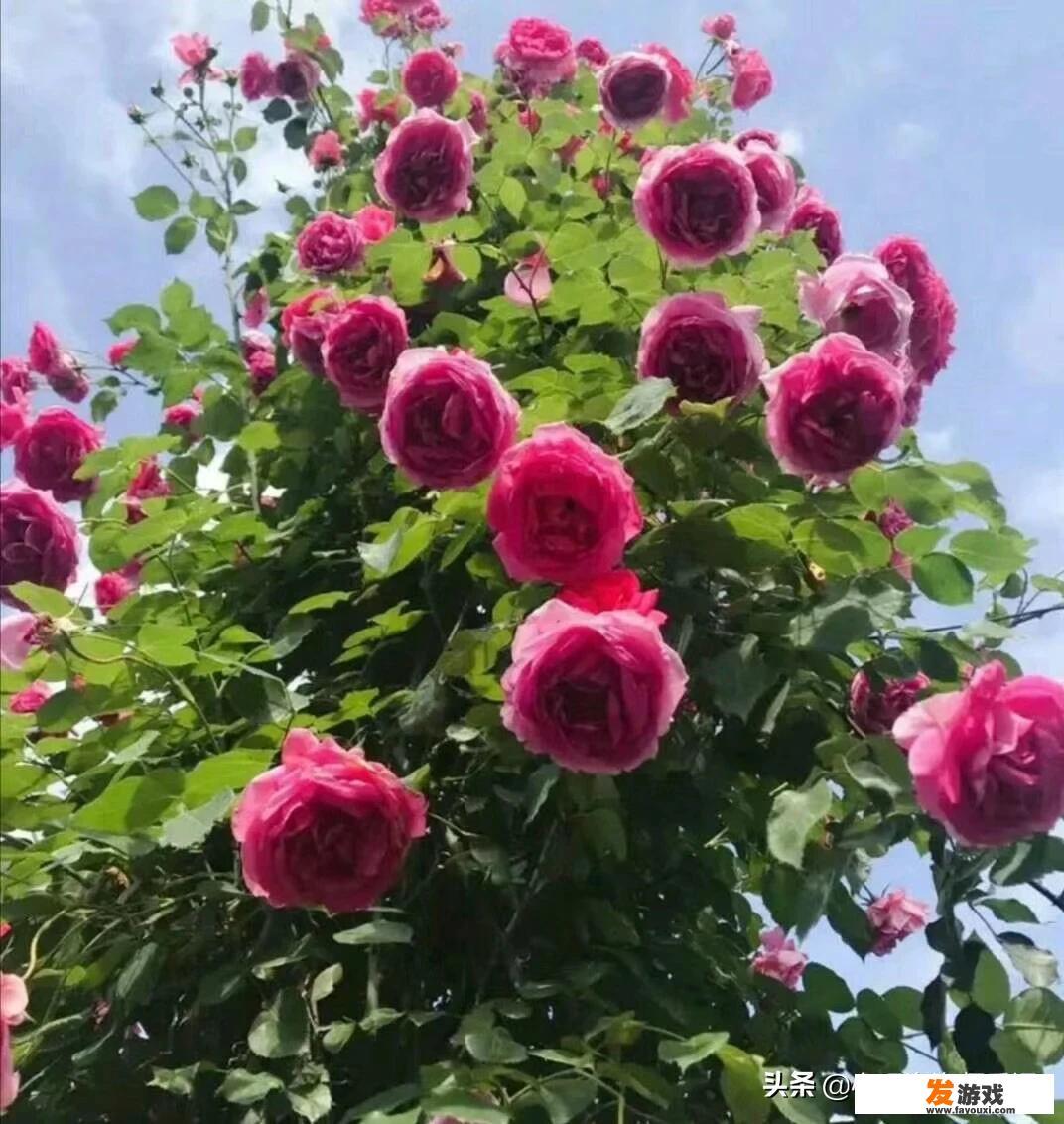 作为一个中学生沉迷于玄幻小说成绩下降，怎样自救
