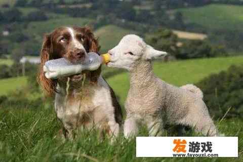 你读过哪些可爱的沙雕句子
