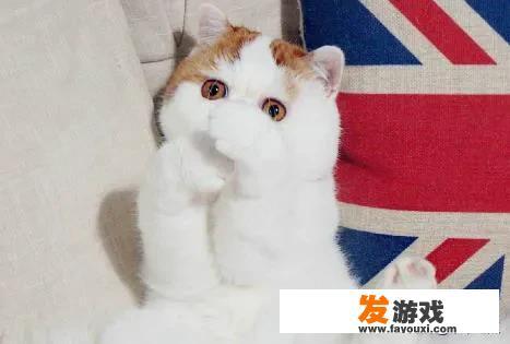 你读过哪些可爱的沙雕句子