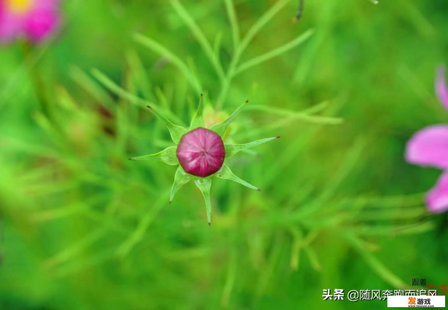 有讽刺人性的句子可以分享吗
