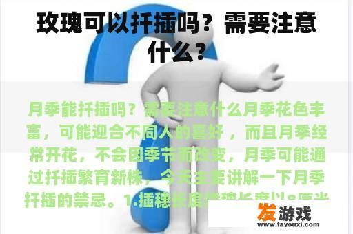 玫瑰可以扦插吗？需要注意什么？