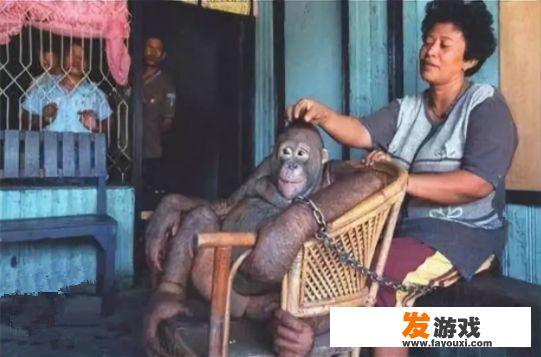 历史上有哪些丧心病狂的事件