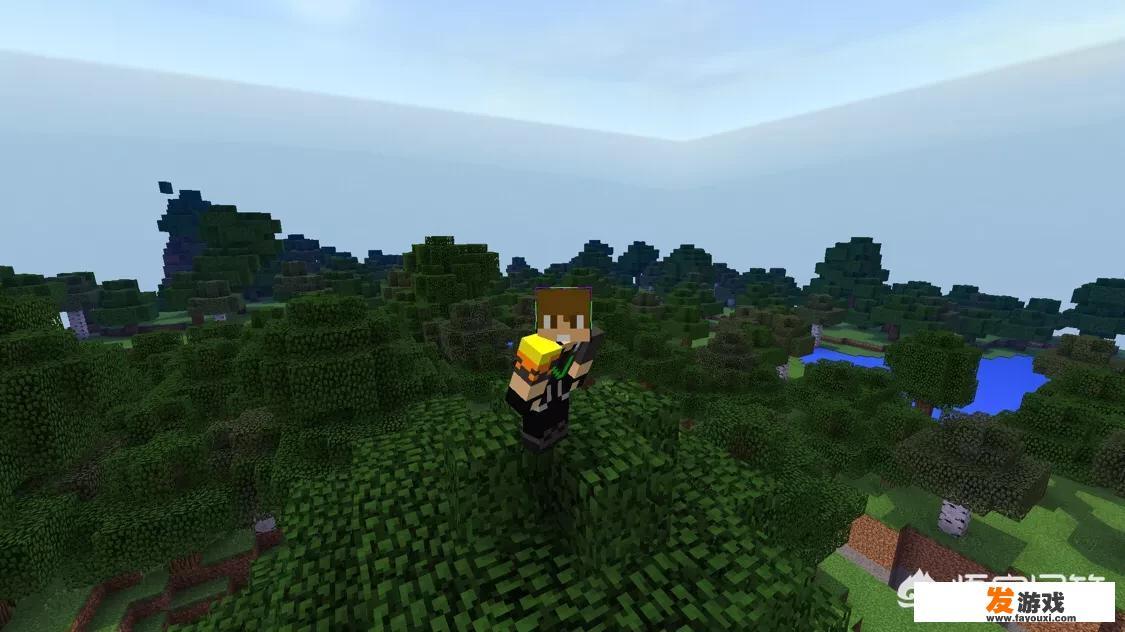 Minecraft为什么画质看起来很差