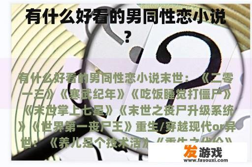 有什么好看的男同性恋小说？