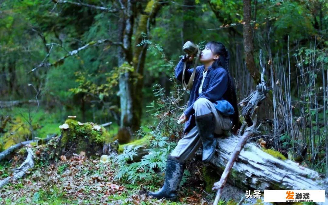 李子柒和其他三农人的区别在哪里