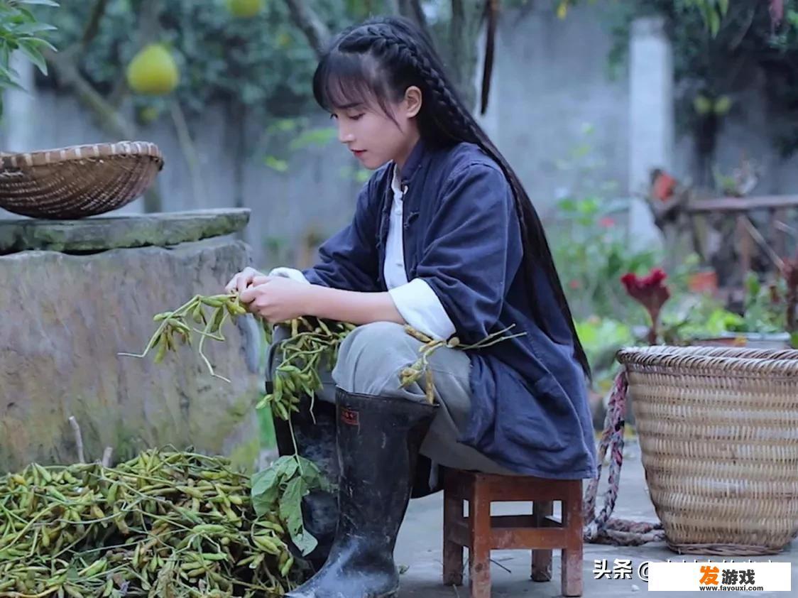 李子柒和其他三农人的区别在哪里