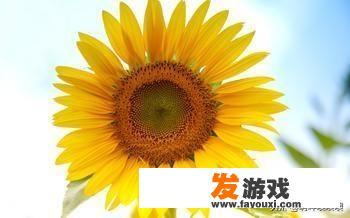 应该如何界定游戏与沉迷？如何防止沉迷于游戏