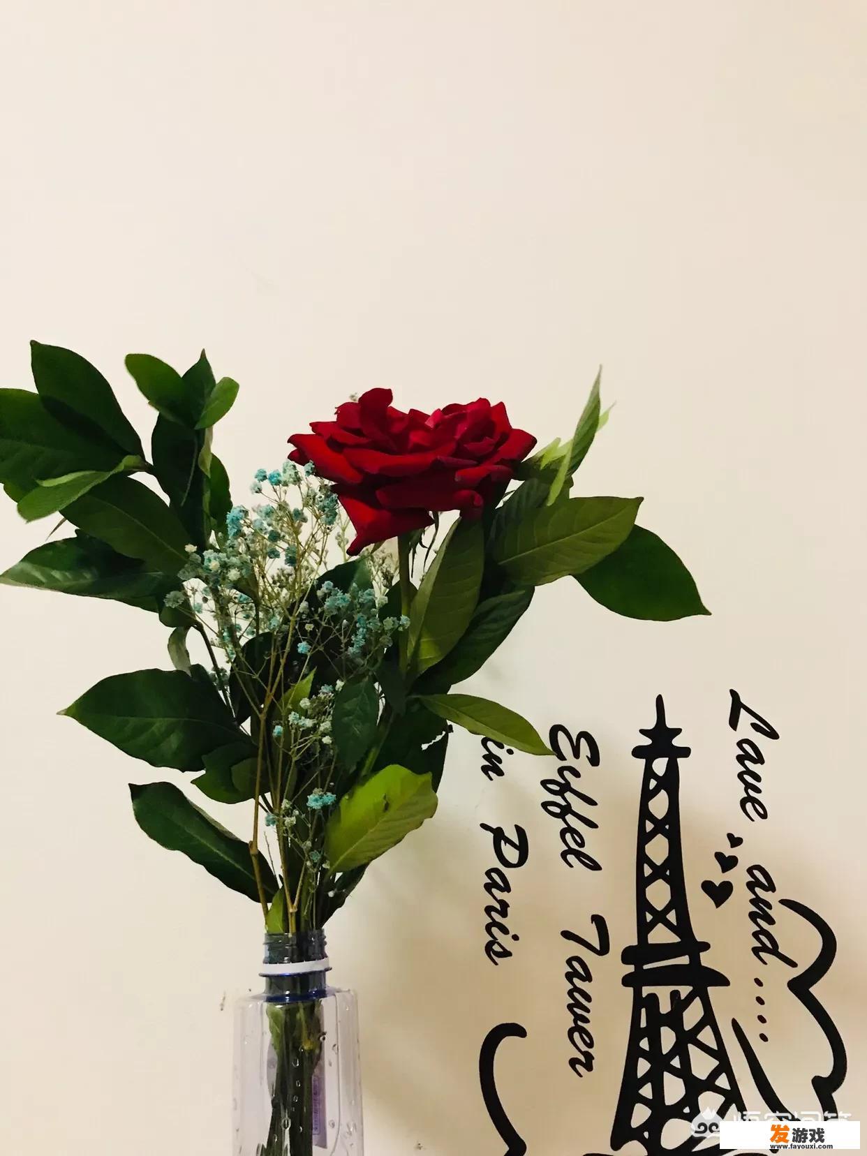 程序员们在情人节是如何高逼格求婚表白的