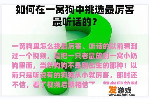 如何在一窝狗中挑选最厉害最听话的？
