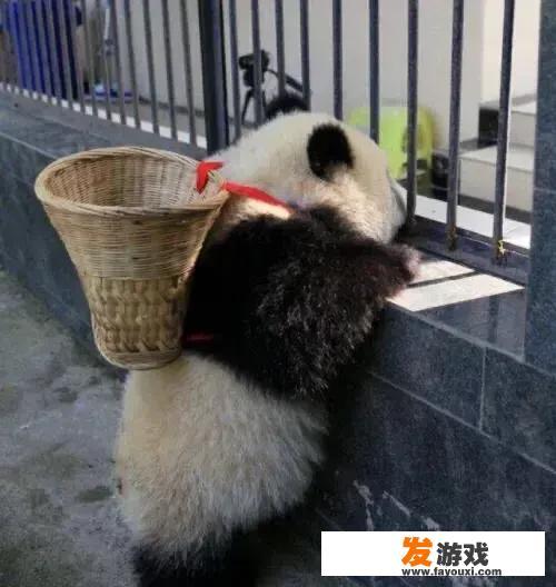 有什么适合12岁儿童的电子游戏