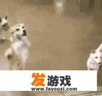 有哪些让你笑出内伤的GIF图