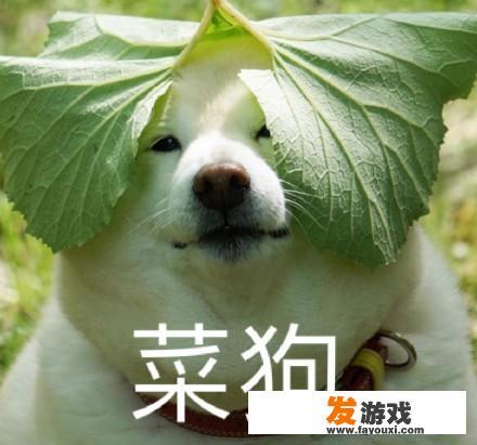 你们听过哪些毁三观的话