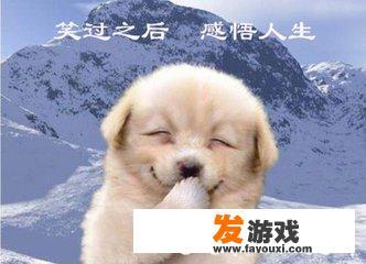 办一个游戏经营许可证需要什么条件