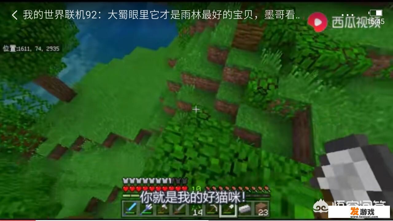 我的世界一共有几种地形？哪些最稀有