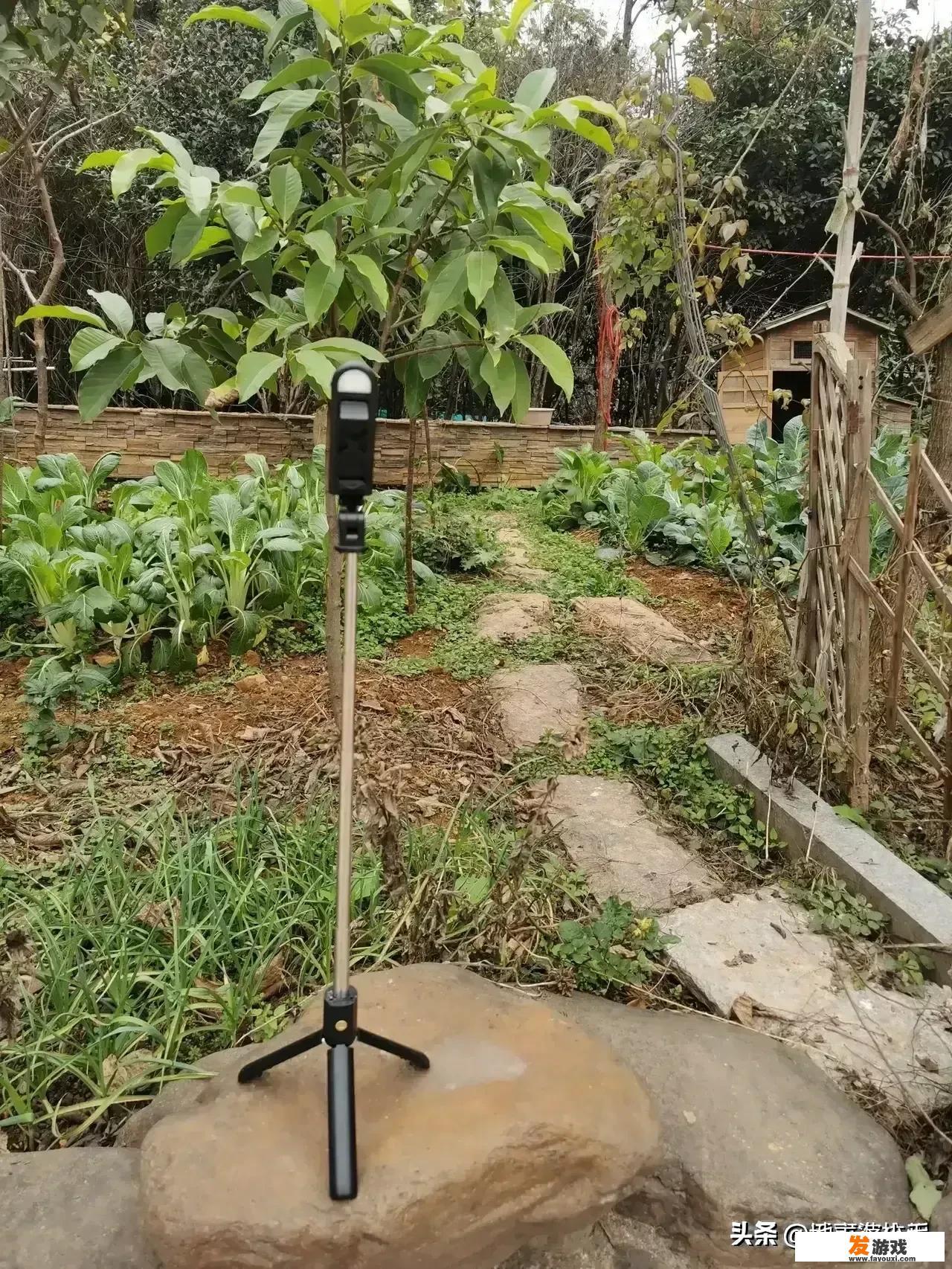 有什么可以推荐的副业