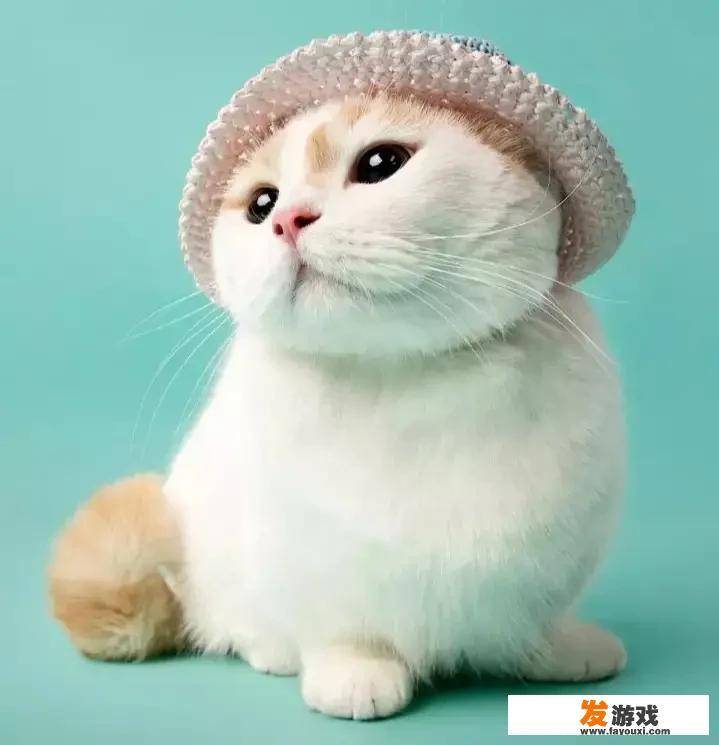 当今60%的青少年沉迷网络游戏，请问怎样才能取缔网络游戏呢