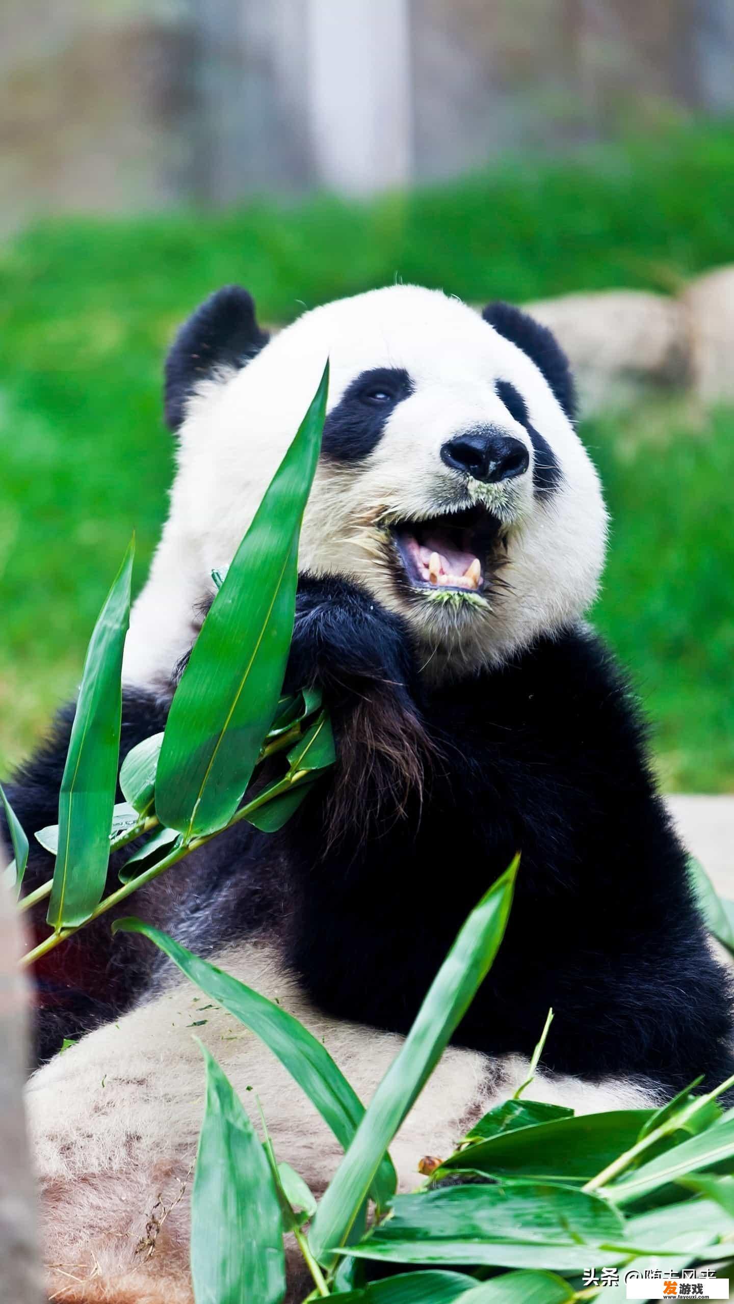 哪些游戏花钱少