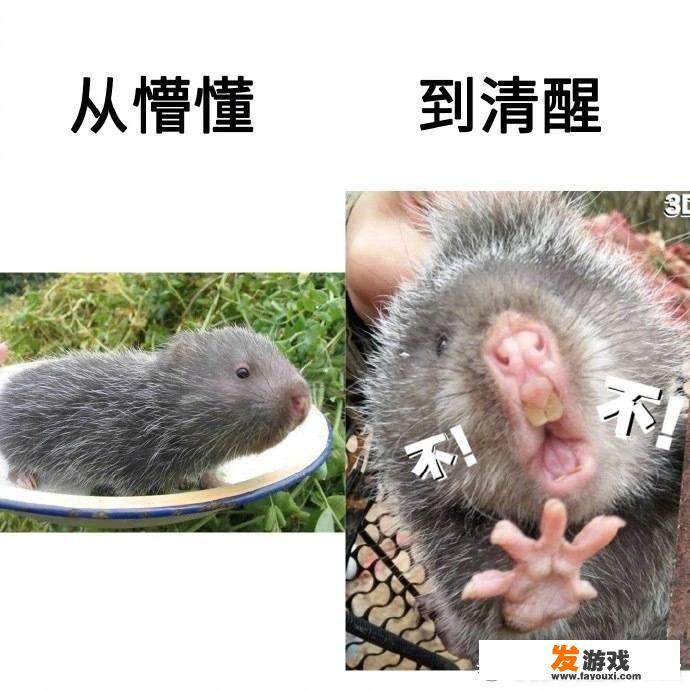 网络游戏时刻侵蚀着青少年，会不会葬送了祖国的未来