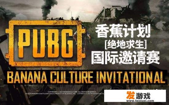 王思聪是绝地求生的开发商股东吗