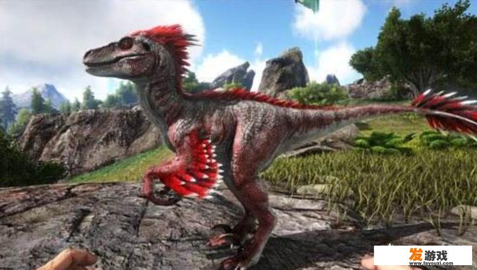 有哪些steam游戏有国服，性价比高的？怎么样