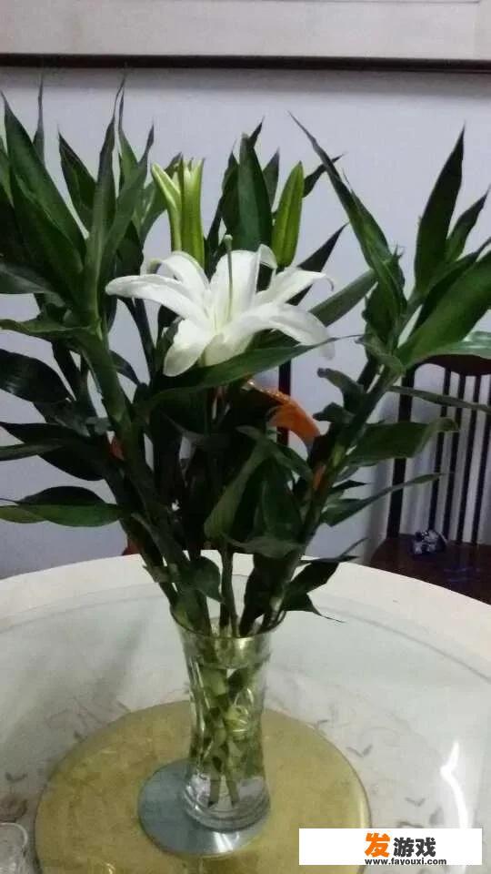 平时不听课只打游戏，只凭考前翻翻书，结果成绩能近满分，真有这种聪明人吗