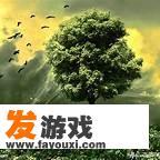 《生命树》这首歌想表达什么