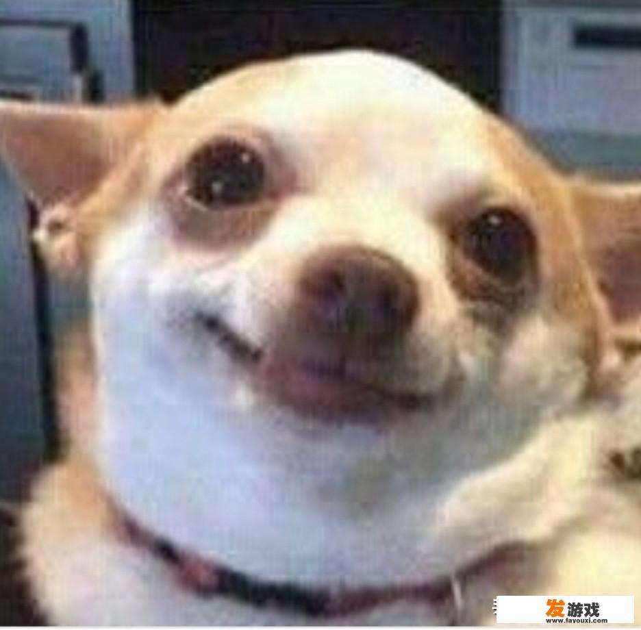 女生爱玩的游戏有哪些