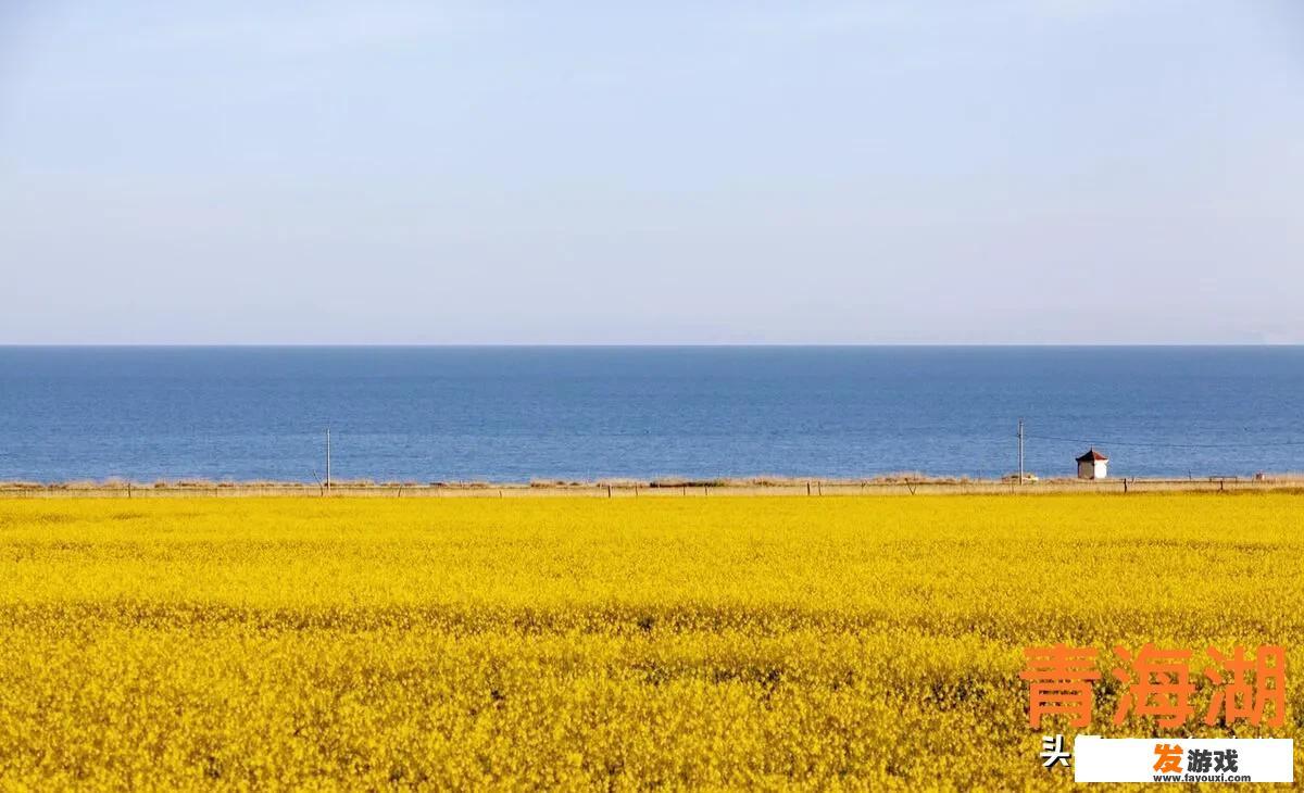 你捡过最大的漏是什么？_玩网络游戏被骗18万字