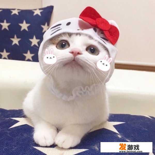 有没有非常真实的冷兵器游戏？但是是开放世界背景？_主机游戏冷兵器