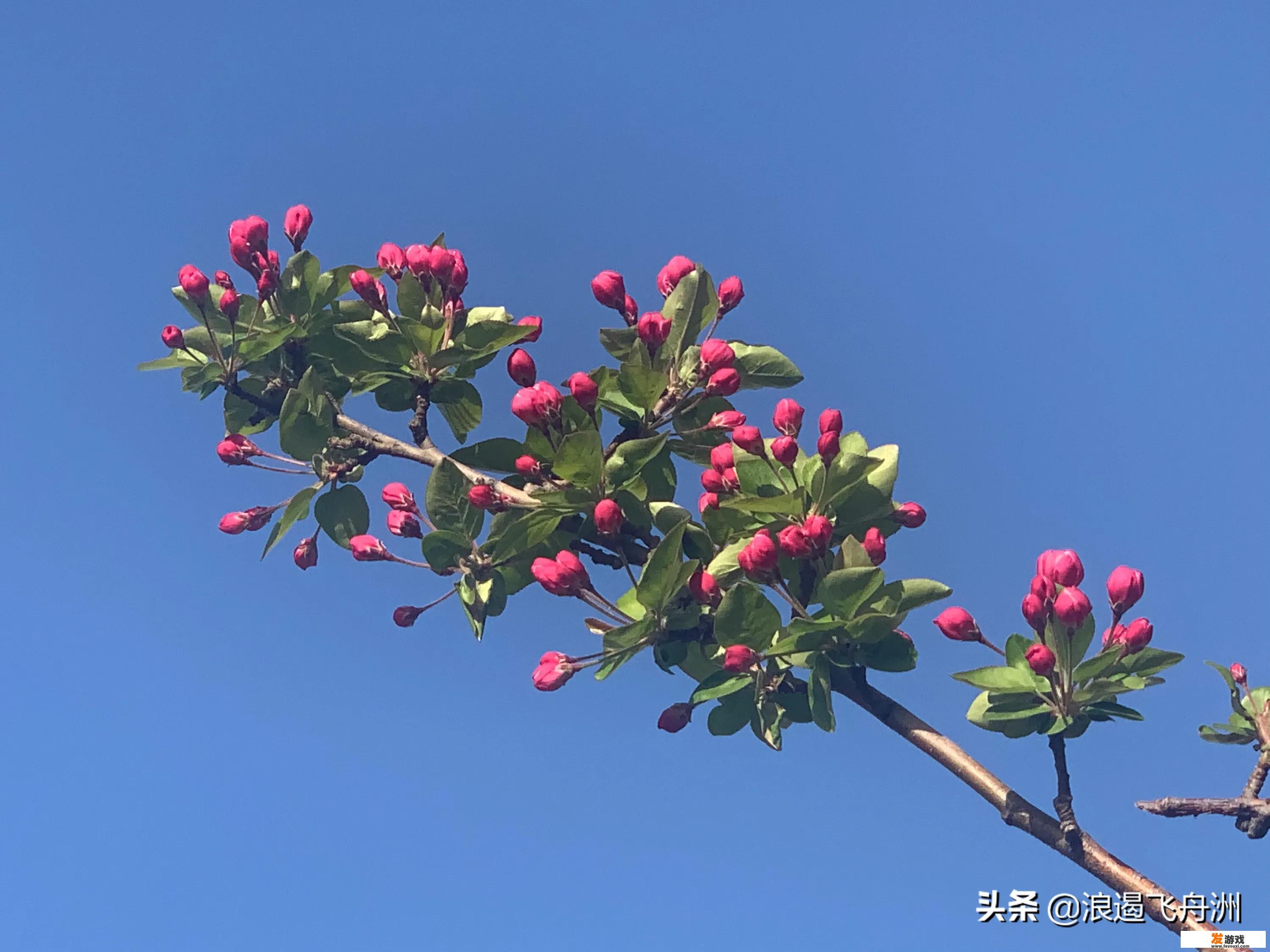 怎样让孩子减少玩网络游戏？_3岁到50岁网络游戏规律