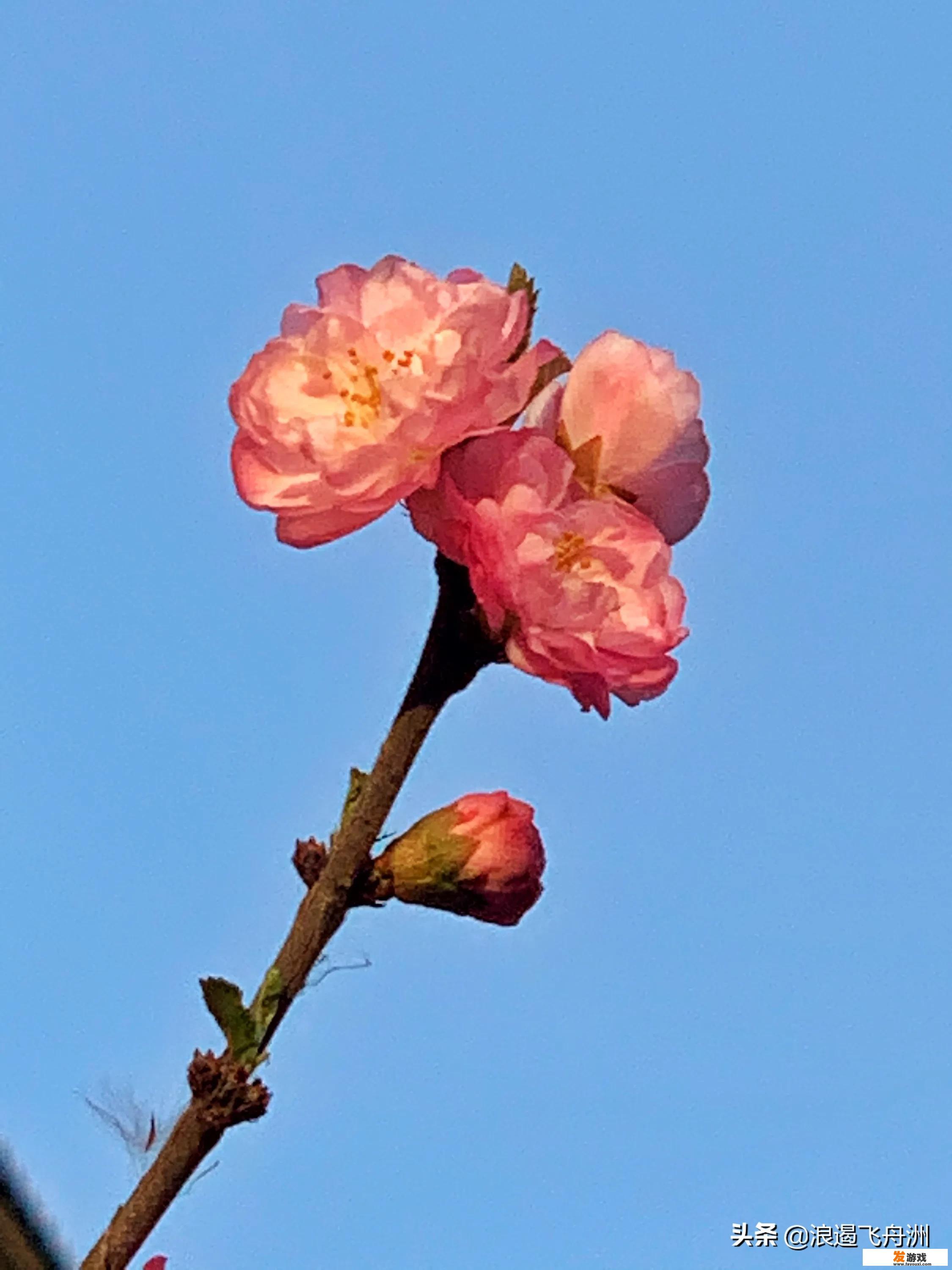 怎样让孩子减少玩网络游戏？_3岁到50岁网络游戏规律