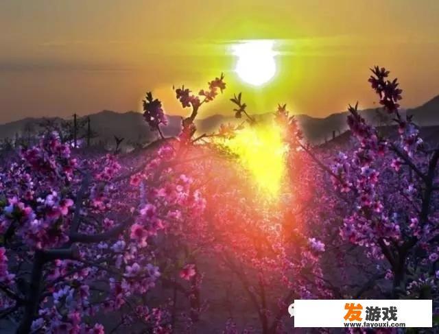 你的家乡依山傍水吗?可以分享一下这些山水风光的照片吗？_景色超美手机网游小说免费阅读